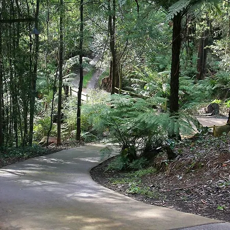 The Fernglen Forest Retreat Mount Dandenong Exterior photo