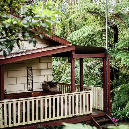 The Fernglen Forest Retreat Mount Dandenong Exterior photo
