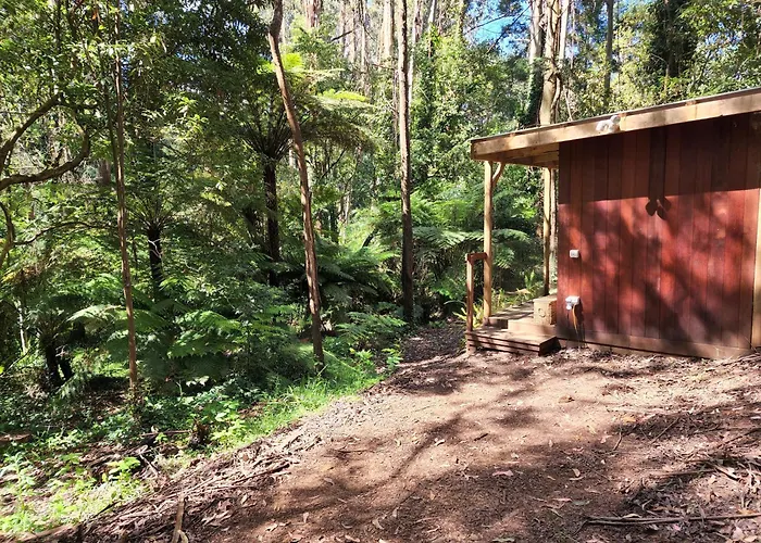 The Fernglen Forest Retreat