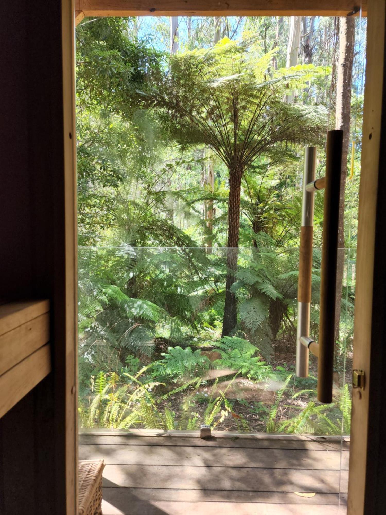 The Fernglen Forest Retreat Bed & Breakfast