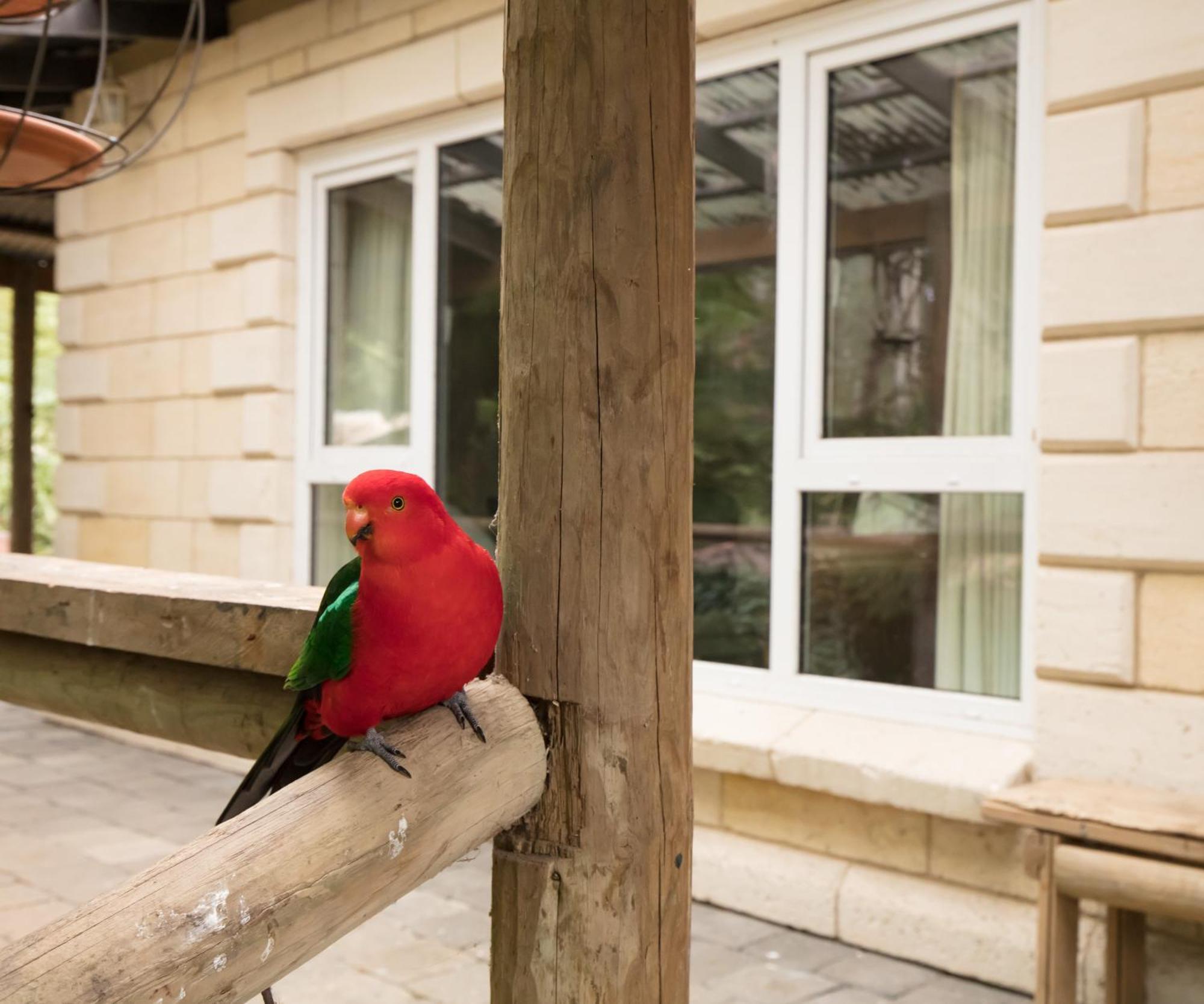 The Fernglen Forest Retreat