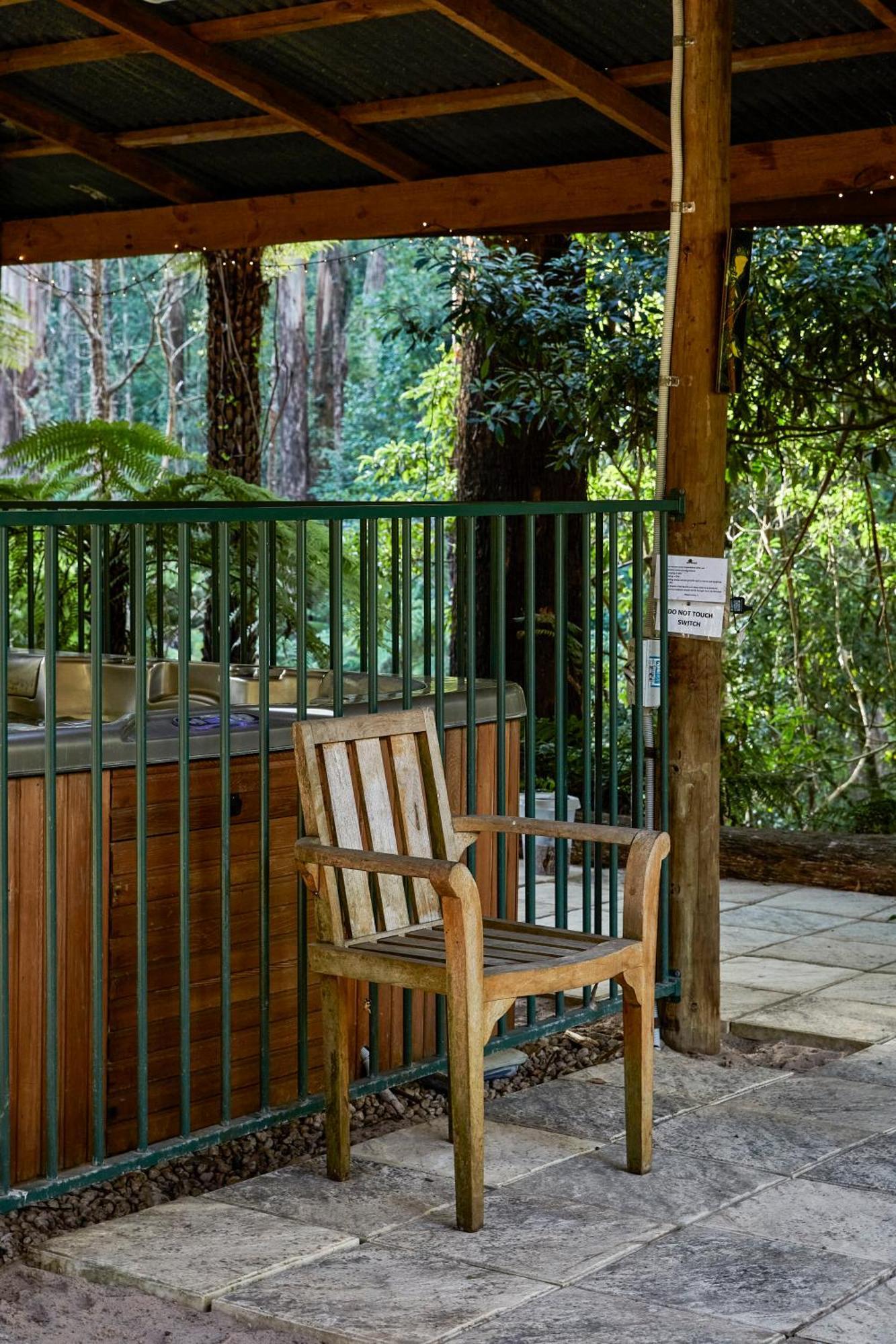 Bed & Breakfast The Fernglen Forest Retreat