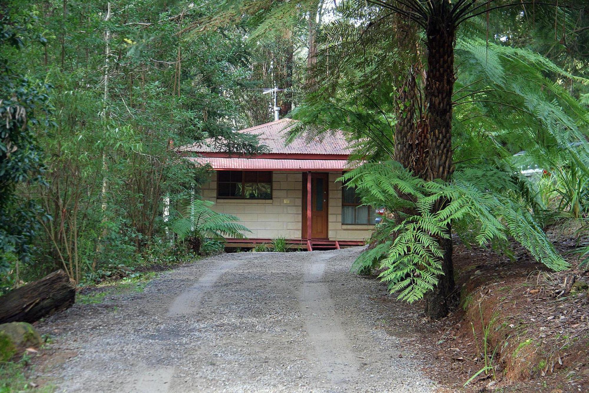 Bed & Breakfast The Fernglen Forest Retreat