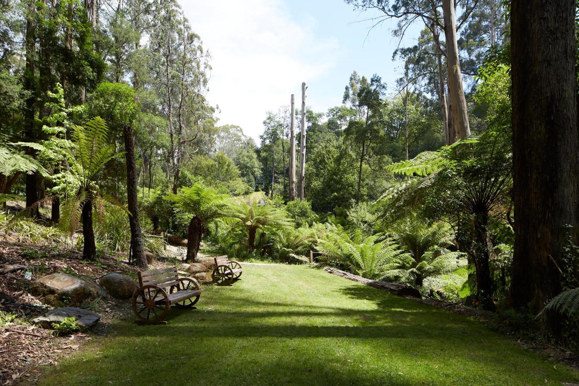 The Fernglen Forest Retreat Bed & Breakfast