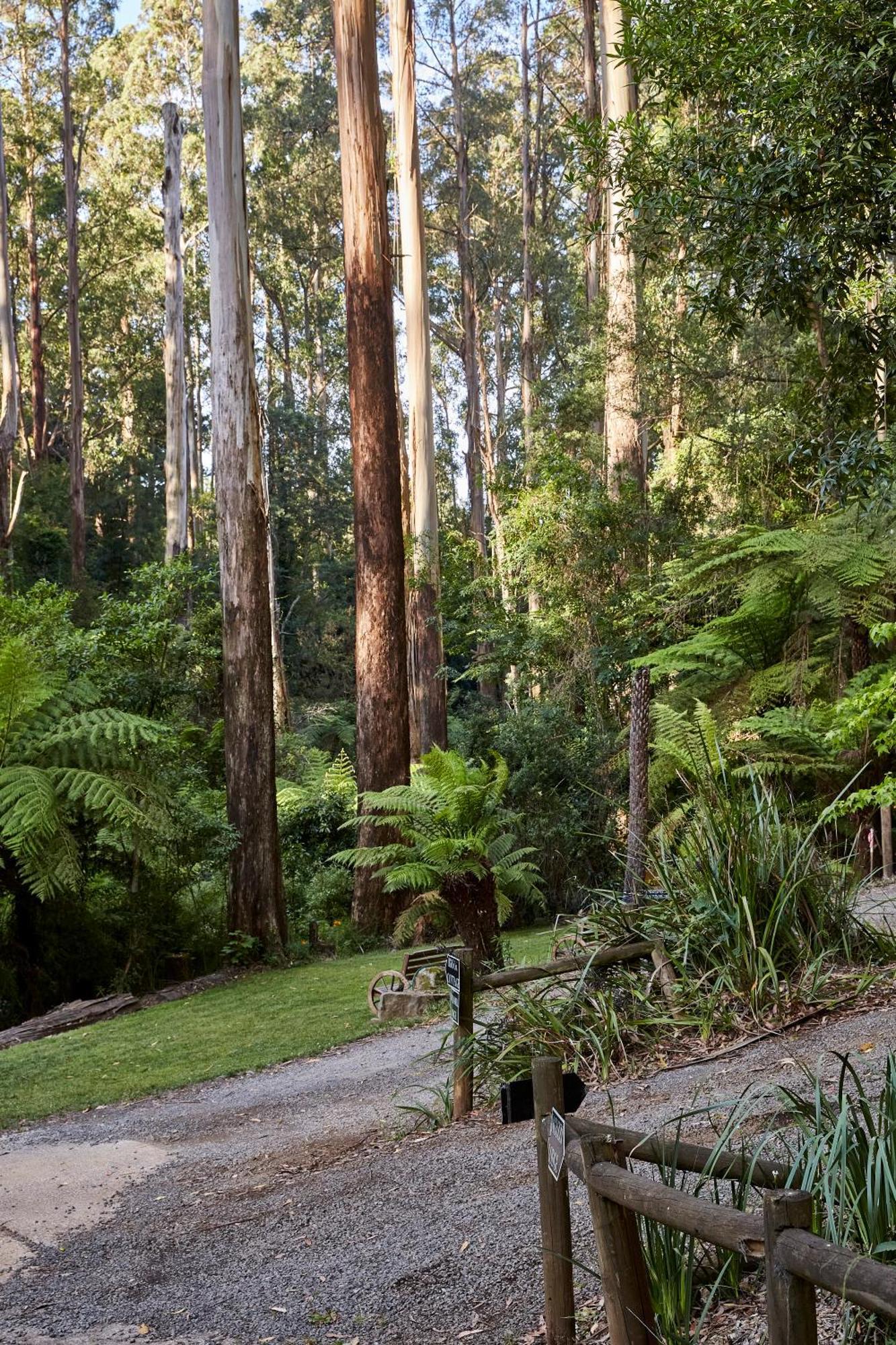 The Fernglen Forest Retreat Bed & Breakfast Mount Dandenong