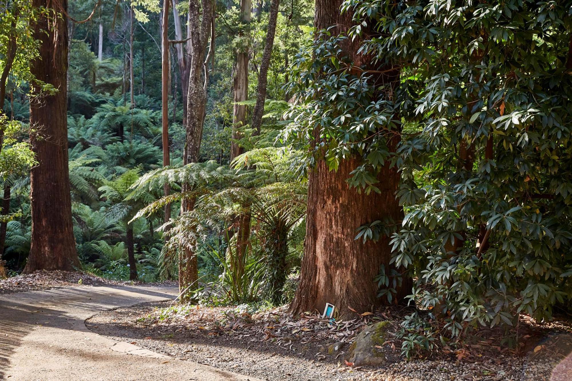 Bed & Breakfast The Fernglen Forest Retreat Mount Dandenong